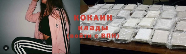 трава Надым