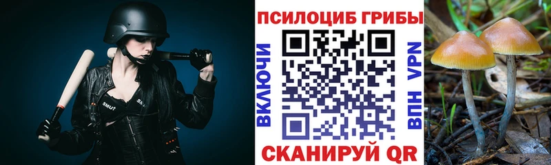 Псилоцибиновые грибы ЛСД  hydra ССЫЛКА  Краснотурьинск 