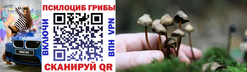 Псилоцибиновые грибы MAGIC MUSHROOMS Краснотурьинск