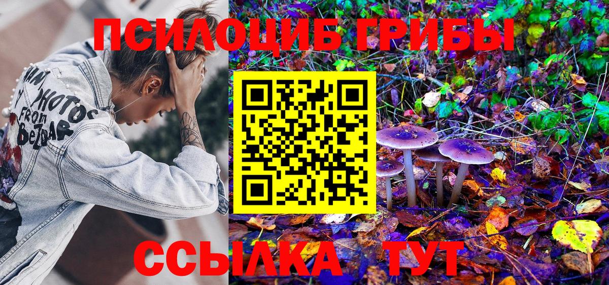 Краснотурьинск  Псилоцибиновые грибы Magic Shrooms  Псилоцибиновые грибы Magic Shrooms  Вход с VPN 